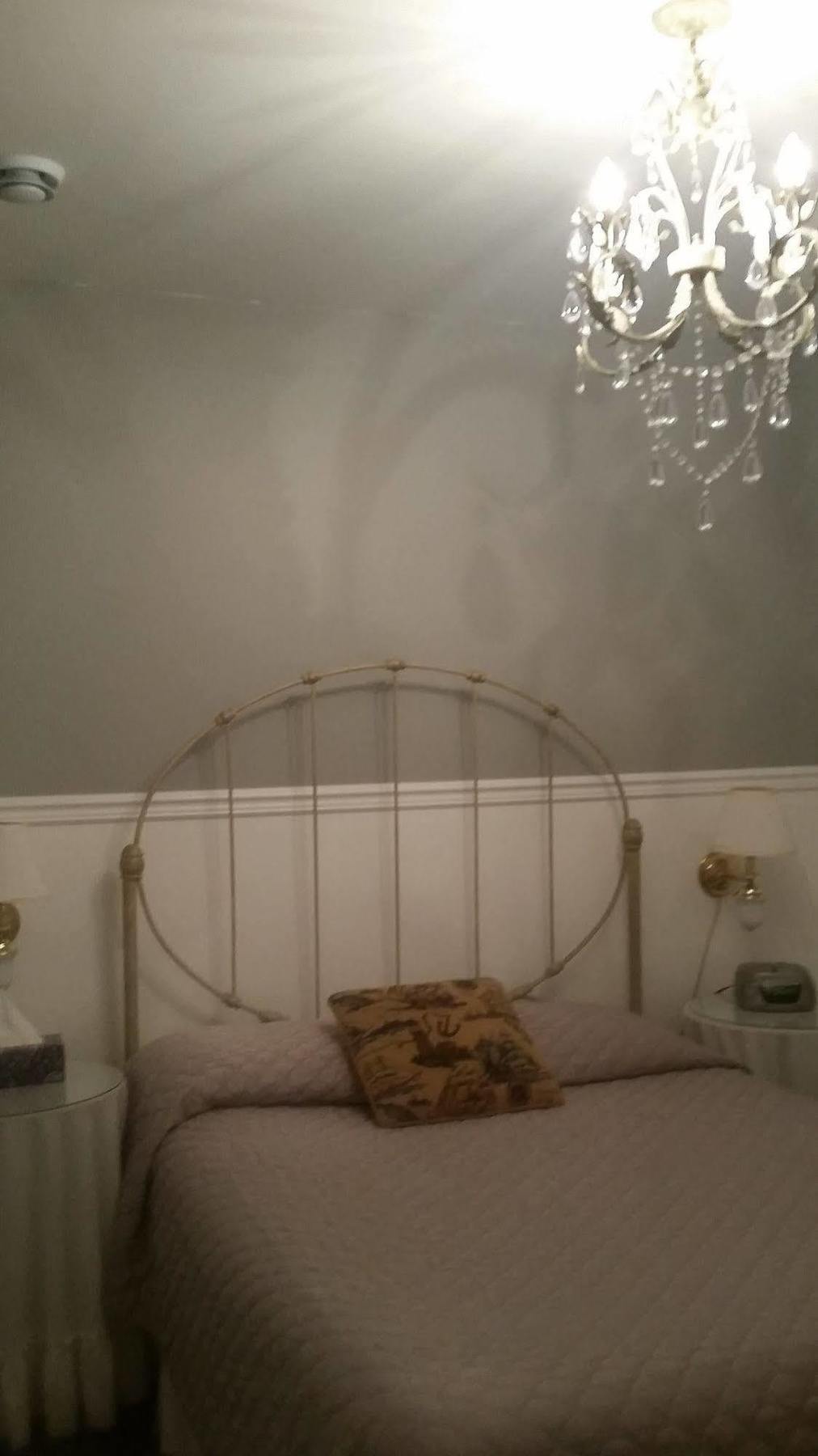Dove House Bed & Breakfast Harbourside North Sydney Exteriér fotografie